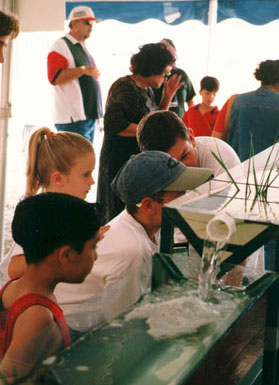 Project based learning students