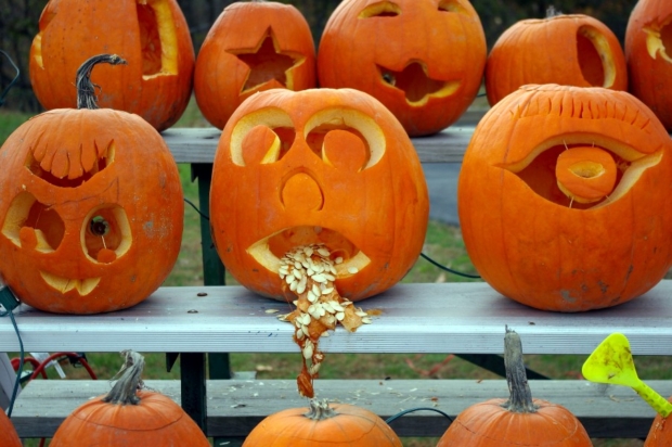 halloween costumes, halloween pumpkins